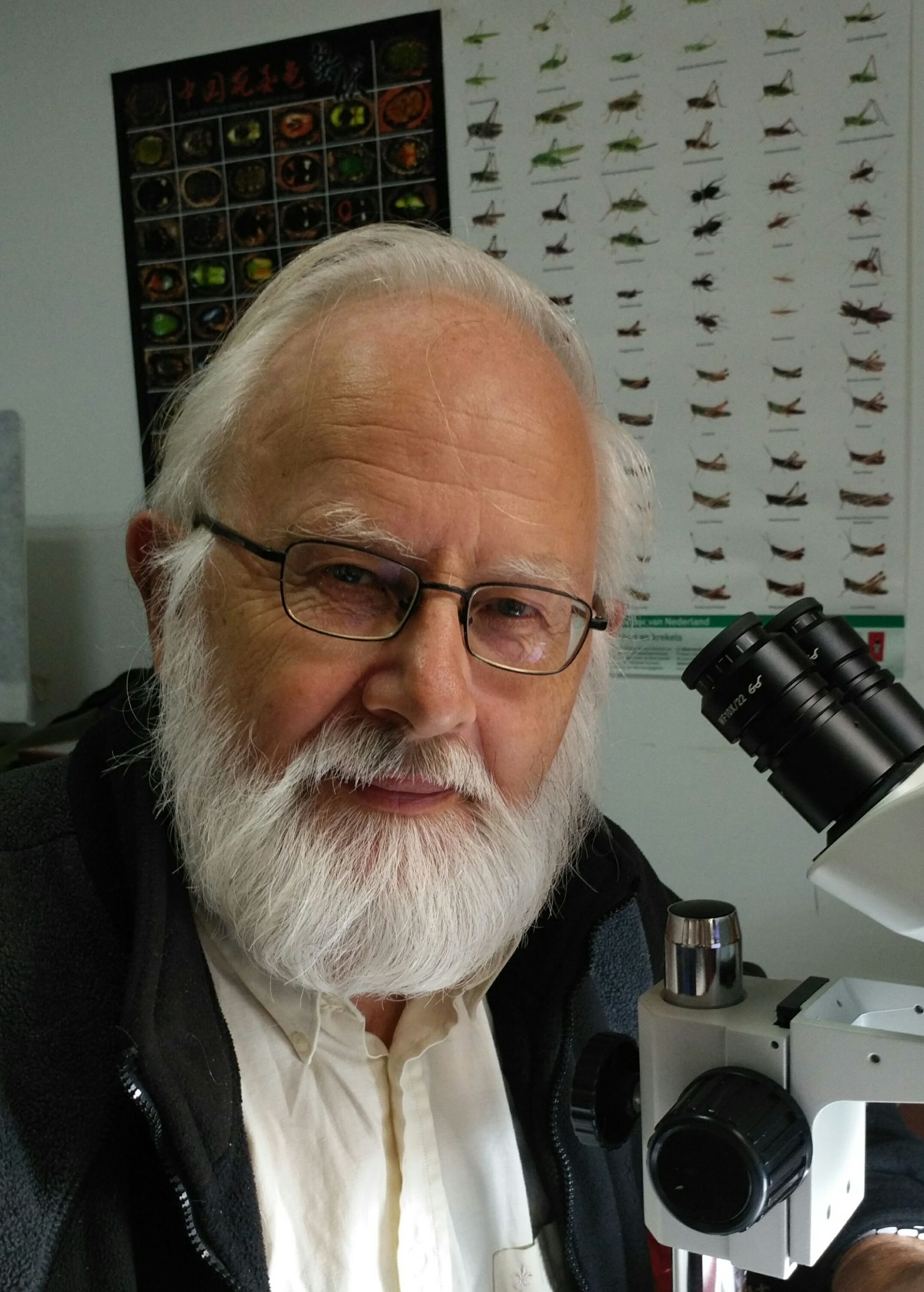西北大学创新论坛第八百零九讲暨校庆117周年学术讲座：Parasite rex: the unknown diversity of parasitoid wasps